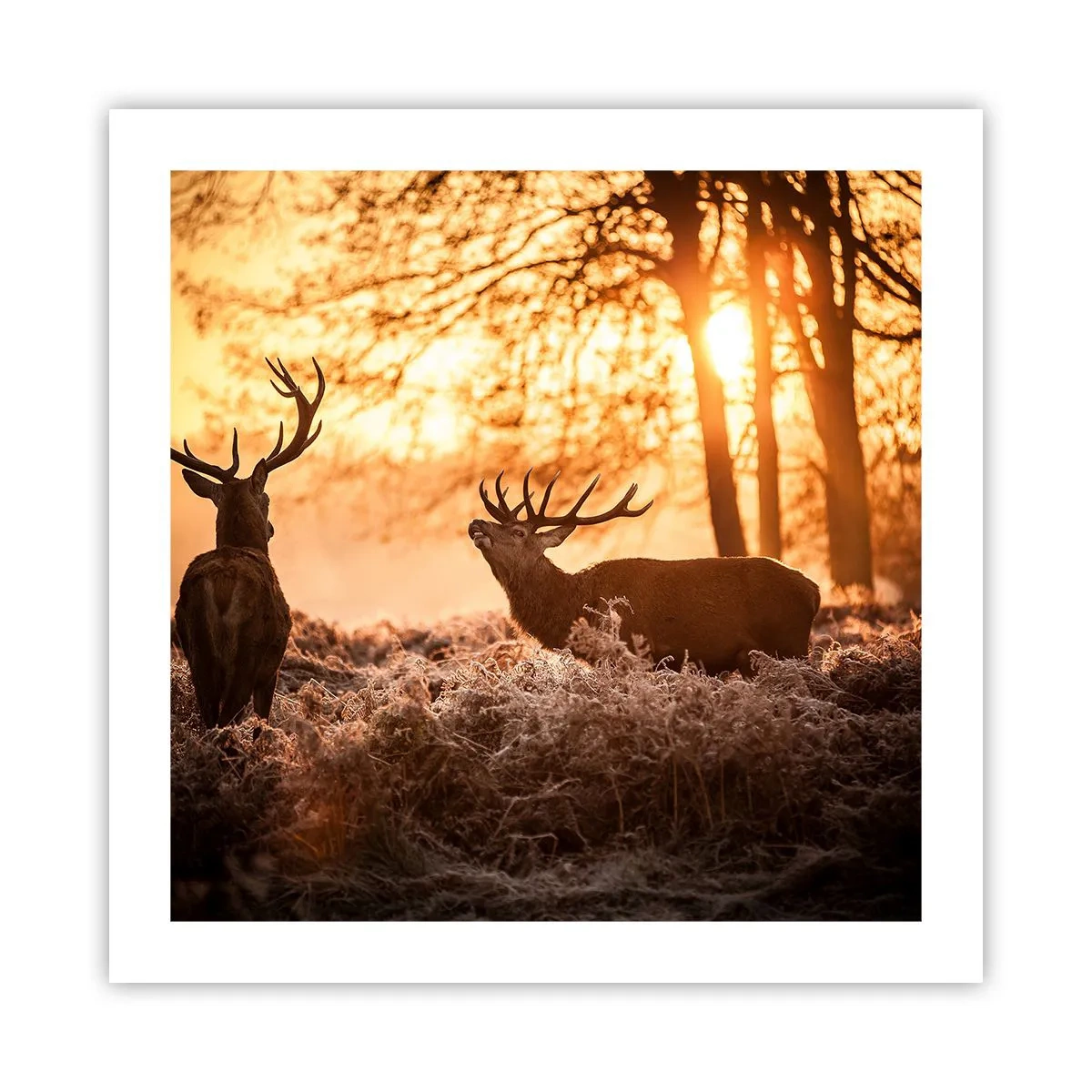 Poster - Der Traum eines Jägers - 50x50 cm