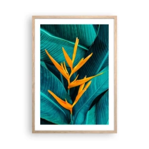 Poster in einem Rahmen aus heller Eiche - Eden-Blume - 50x70 cm