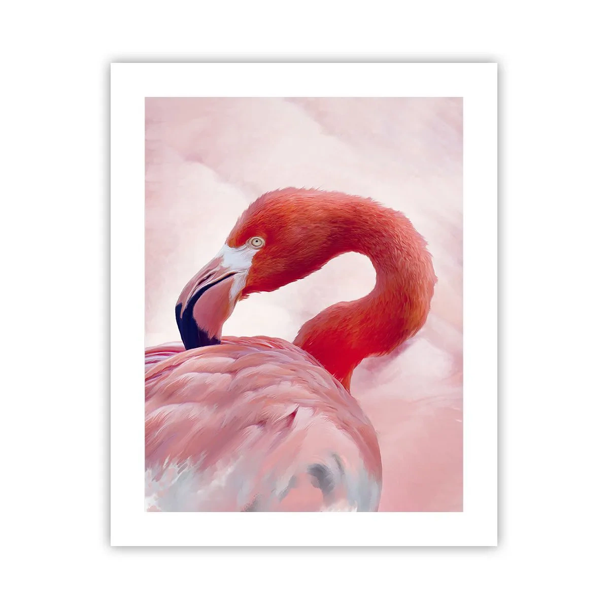 Poster - Vogel Schönheit - 40x50 cm