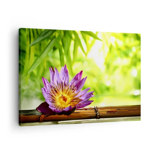 Bild auf Leinwand - Leinwandbild - Lila Lotusblüte vor einem Hintergrund aus grünen Bambusblättern - 70x50cm - In der asiatischen Sonne - Moderne Wanddekoration für Wohnzimmer und Schlafzimmer ARTTOR