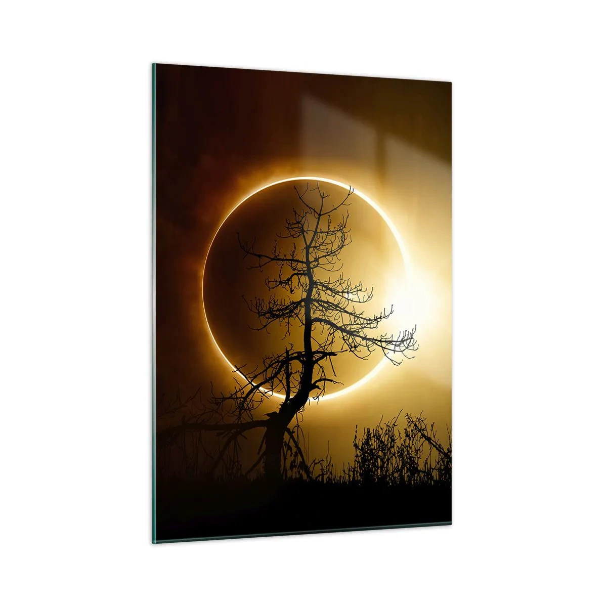Glasbild - Bild auf glas - Sonnenfinsternis hinter dem Baum - 50x70cm - Totale Finsternis - Moderne Wanddekoration für Wohnzimmer und Schlafzimmer ARTTOR