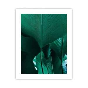 Poster - Dem Licht zugewandt - 40x50 cm