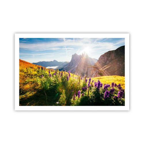 Poster - Das geheime Leben der Kräuter - 91x61 cm