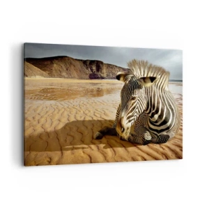 Bild auf Leinwand - Leinwandbild - Ein Zebra ruht sich an einem Sandstrand mit Klippen im Hintergrund aus. - 100x70cm - Wir passen zusammen - Moderne Wanddekoration für Wohnzimmer und Schlafzimmer ARTTOR