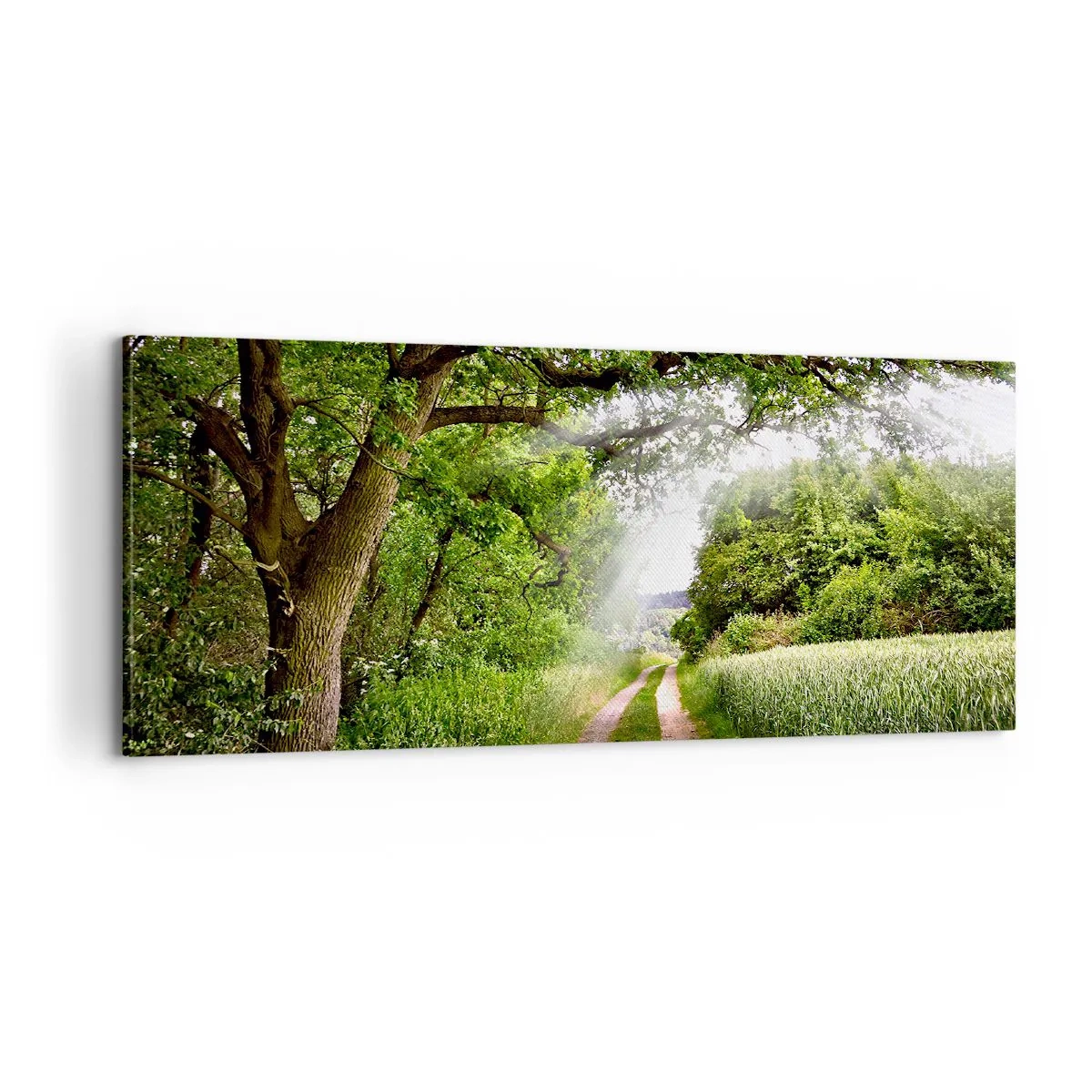 Bild auf Leinwand - Leinwandbild - Et in Arcadia ego - 100x40 cm