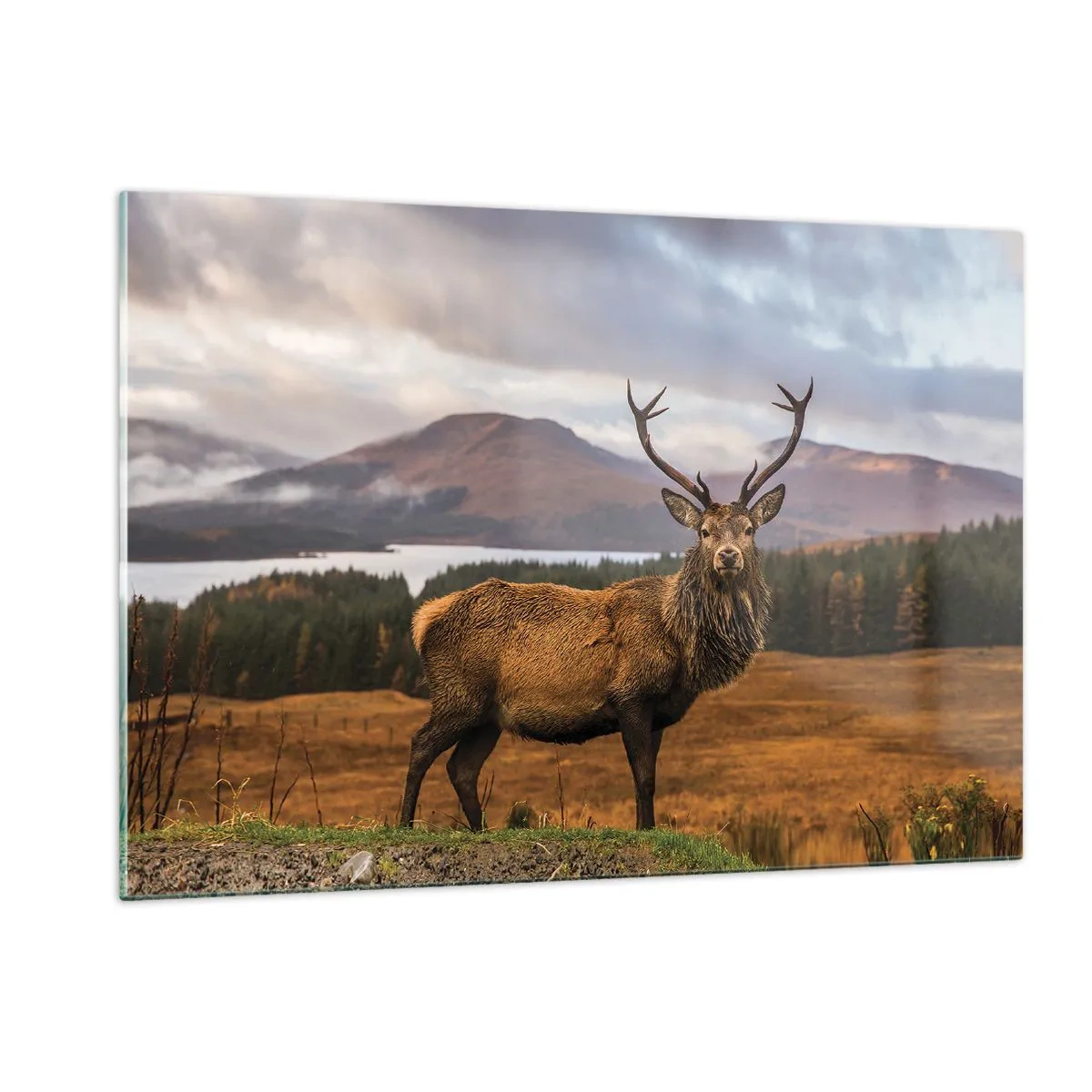 Glasbild - Bild auf glas - Hirsche vor der Kulisse malerischer Berge und Wälder - 120x80cm - Die Majestät der Natur - Moderne Wanddekoration für Wohnzimmer und Schlafzimmer ARTTOR