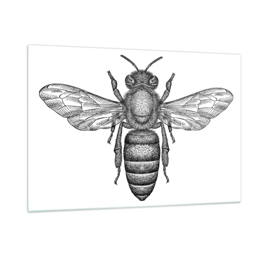 Glasbild - Bild auf glas - Detaillierte Darstellung einer Retro-Biene auf weißem Hintergrund - 120x80cm - Insektenporträt - Moderne Wanddekoration für Wohnzimmer und Schlafzimmer ARTTOR