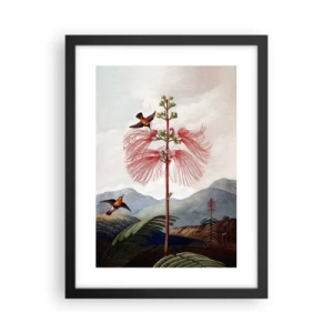 Poster in einem schwarzem Rahmen - In einem tropischen Paradies - 30x40 cm