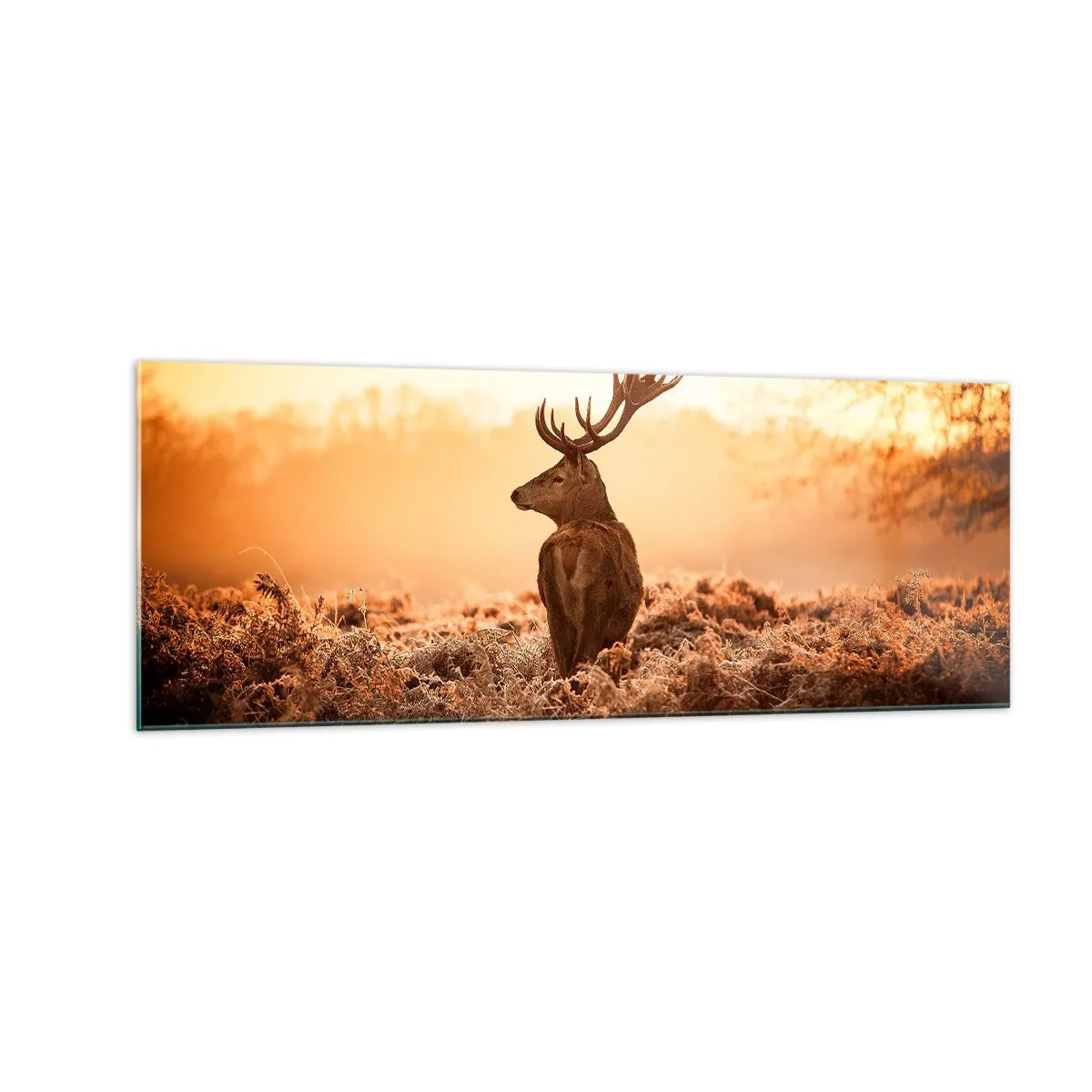 Glasbild - Bild auf glas - Hirsch in den Strahlen der aufgehenden Sonne - 140x50cm - Herr im eigenen Land - Moderne Wanddekoration für Wohnzimmer und Schlafzimmer ARTTOR