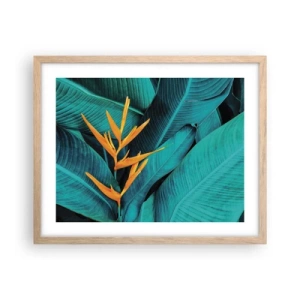 Poster in einem Rahmen aus heller Eiche - Eden-Blume - 50x40 cm