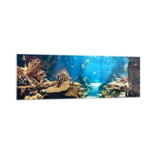 Glasbild - Bild auf glas - Unterwasserwelt mit Korallenriff und Fischen - 160x50cm - Du hast es noch nicht einmal geträumt - Moderne Wanddekoration für Wohnzimmer und Schlafzimmer ARTTOR