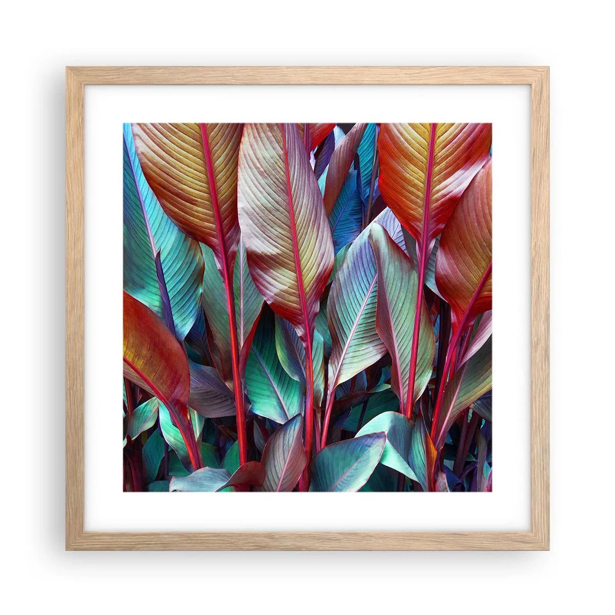 Poster in einem Rahmen aus heller Eiche - Buntes Dickicht - 40x40 cm