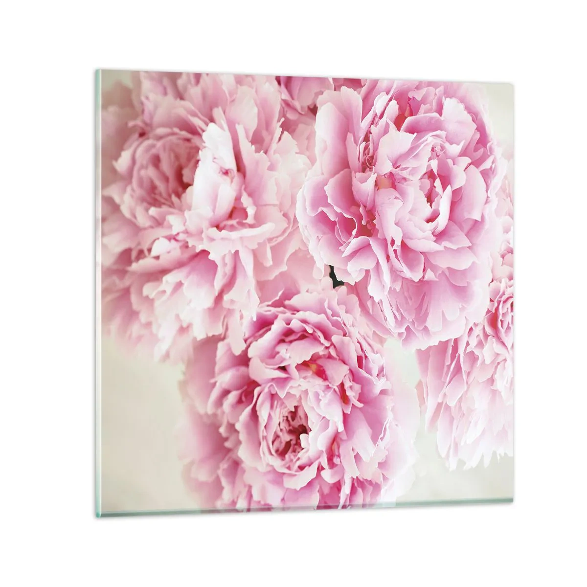 Glasbild - Bild auf glas - In rosa Glamour - 70x70 cm