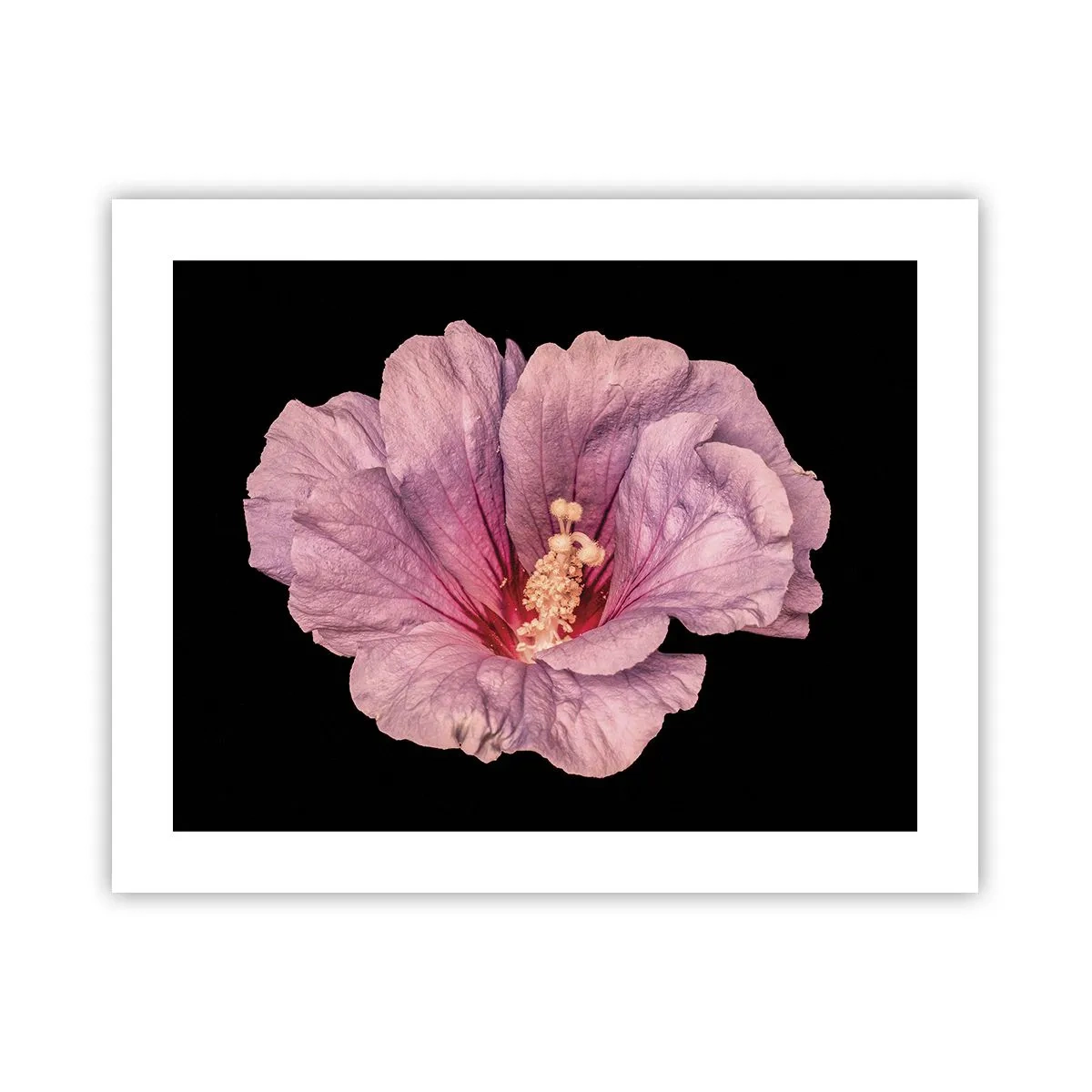 Poster - Direkt ins Herz - 50x40 cm