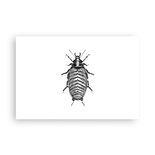 Poster - Was für ein Exemplar! - 91x61 cm