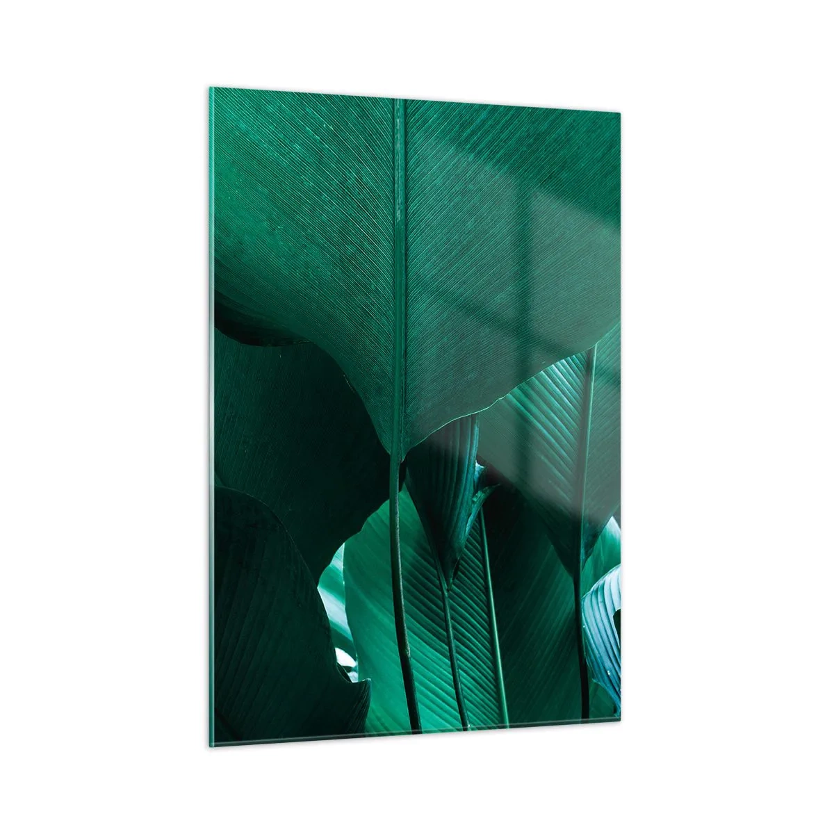 Glasbild - Bild auf glas - Tropische Blätter in intensiven Grüntönen - 50x70cm - Dem Licht zugewandt - Moderne Wanddekoration für Wohnzimmer und Schlafzimmer ARTTOR