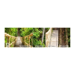 Fototapetenmuster Standard Eco - Im Grünen ausgesetzt - Dschungel, Hängebrücke, Natur - 100x30 cm