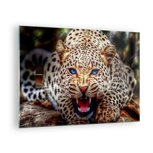 Glasbild - Bild auf glas - Ein wilder blauäugiger Leopard in freier Wildbahn - 70x50cm - Schönheitswut tut nicht weh - Moderne Wanddekoration für Wohnzimmer und Schlafzimmer ARTTOR