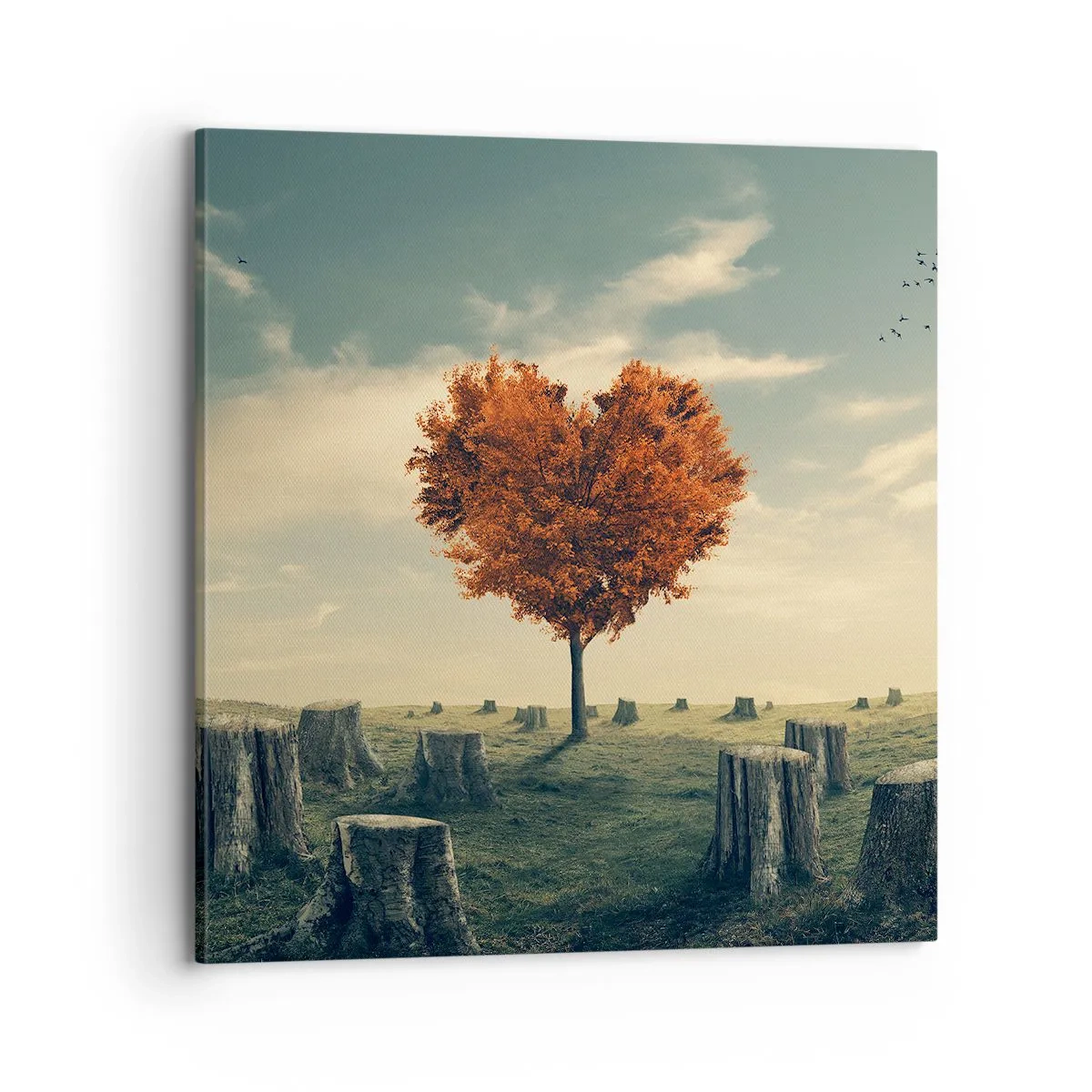 Bild auf Leinwand - Leinwandbild - Es gibt noch Hoffnung - 70x70 cm