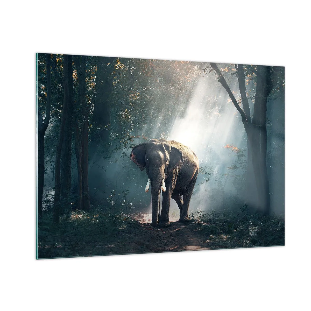 Glasbild - Bild auf glas - Ein Elefant läuft durch den Wald, während das Sonnenlicht durch die Bäume fällt. - 100x70cm - Ein gemütlicher Spaziergang - Moderne Wanddekoration für Wohnzimmer und Schlafzimmer ARTTOR