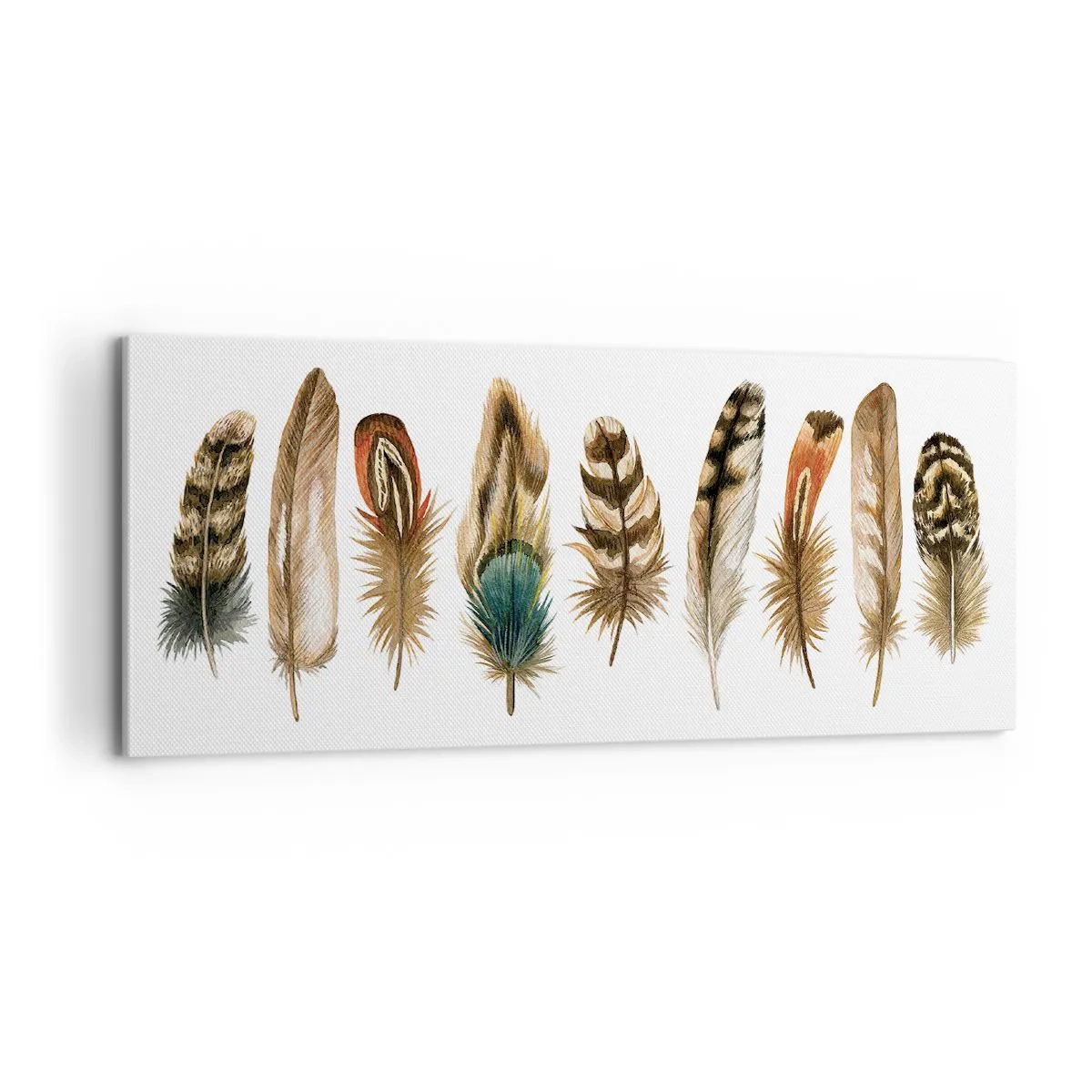 Bild auf Leinwand - Leinwandbild - Eine federleichte Variante - 100x40 cm