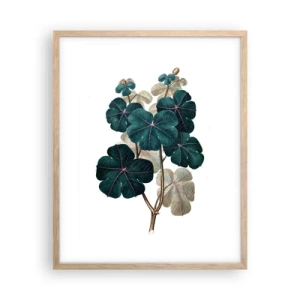 Poster in einem Rahmen aus heller Eiche - Aus dem alten Herbarium - 40x50 cm