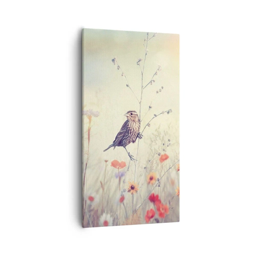 Bild auf Leinwand - Leinwandbild - Vogelporträt mit einer Wiese im Hintergrund - 55x100 cm