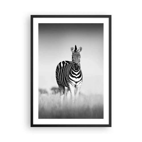 Poster in einem schwarzem Rahmen - Ein Zebra in einer Schwarz-Weiß-Komposition in der Savanne - 50x70cm - Die Welt ist doch schwarz-weiß - Moderne Wanddekoration für Wohnzimmer und Schlafzimmer ARTTOR