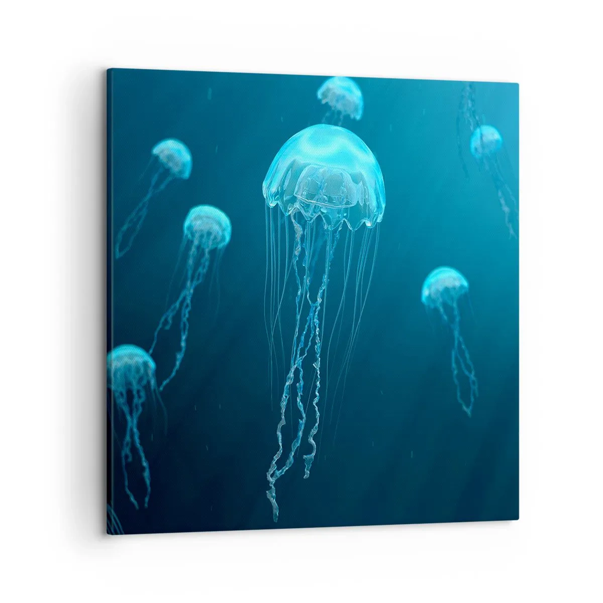 Bild auf Leinwand - Leinwandbild - Ozeantanz - 50x50 cm