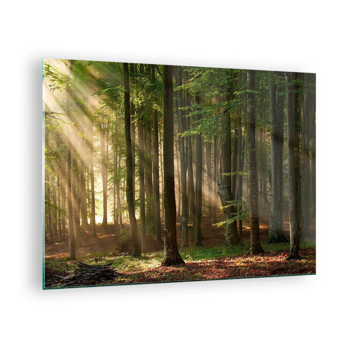 Glasbild - Bild auf glas - Sonnenstrahlen scheinen durch die Bäume im Wald - 70x50cm - Strahlend an einem Frühlingsmorgen - Moderne Wanddekoration für Wohnzimmer und Schlafzimmer ARTTOR