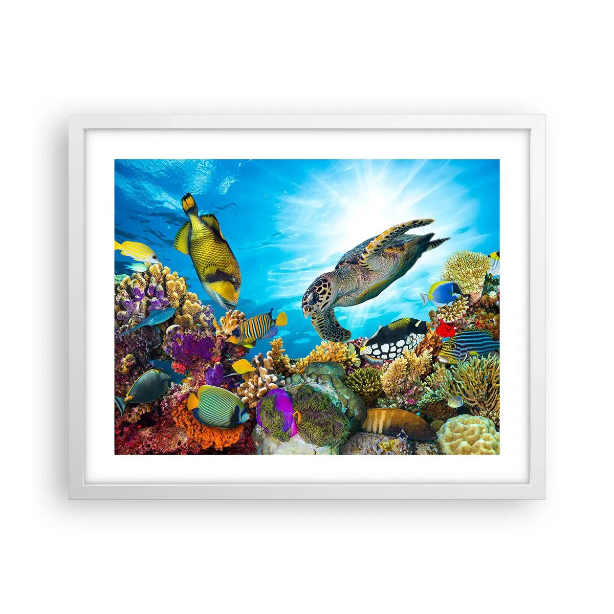 Poster in einem weißen Rahmen - Korallenpromenade - 50x40 cm