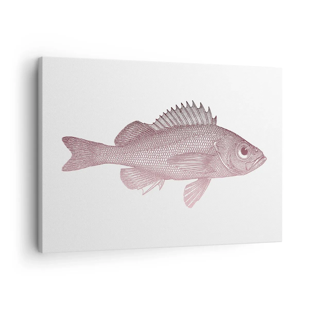 Bild auf Leinwand - Leinwandbild - Detaillierte Darstellung eines Fisches auf weißem Hintergrund - 70x50cm - Großäugiger Fisch - Moderne Wanddekoration für Wohnzimmer und Schlafzimmer ARTTOR