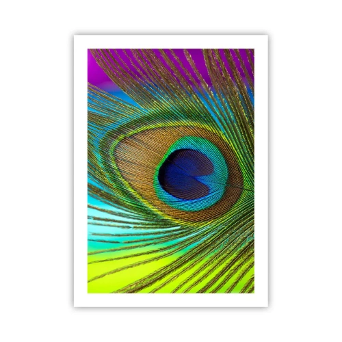 Poster - Detail einer Pfauenfeder in intensiven Farben - 50x70cm - Auge in Auge - Moderne Wanddekoration für Wohnzimmer und Schlafzimmer ARTTOR