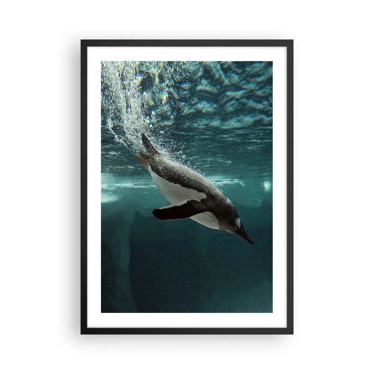 Poster in einem schwarzem Rahmen - Ein Pinguin schwimmt unter Wasser - 50x70cm - Willkommen in meiner Welt - Moderne Wanddekoration für Wohnzimmer und Schlafzimmer ARTTOR