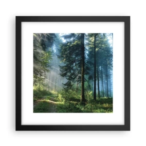 Poster in einem schwarzem Rahmen - Strahlend am Morgen - 30x30 cm