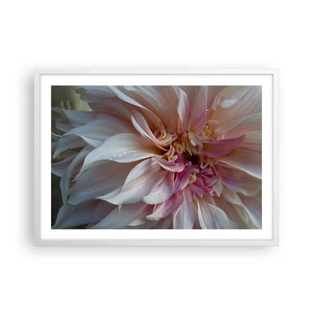 Poster in einem weißen Rahmen - Blühende Frische - 70x50 cm
