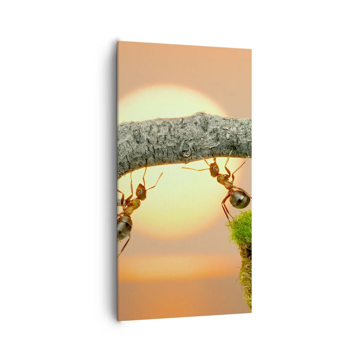 Bild auf Leinwand - Leinwandbild - Glücklich, zusammen arbeiten - 65x120 cm