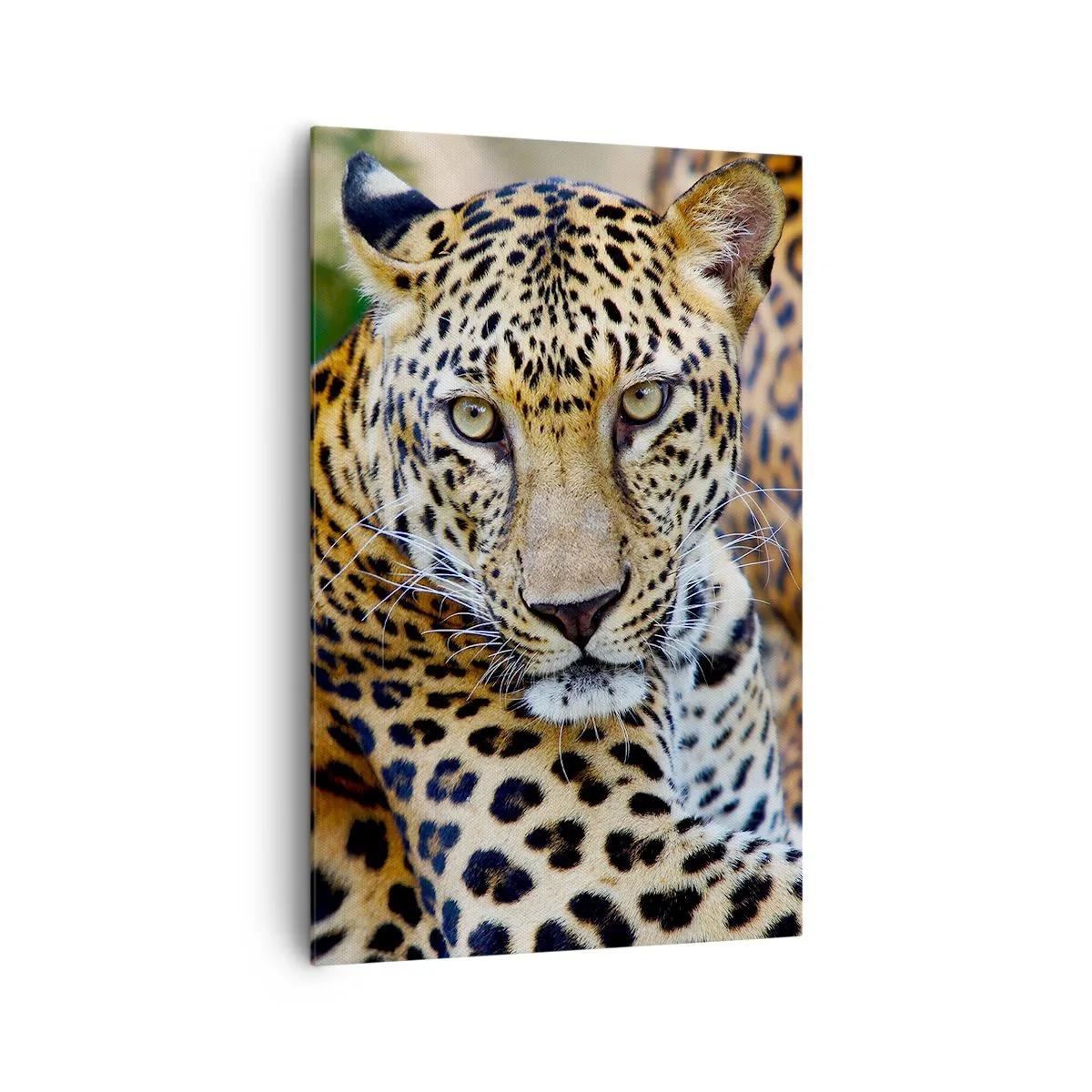 Bild auf Leinwand - Leinwandbild - Jaguar ruht in natürlicher Umgebung vor grünem Hintergrund. - 80x120cm - Wild und ruhig - Moderne Wanddekoration für Wohnzimmer und Schlafzimmer ARTTOR