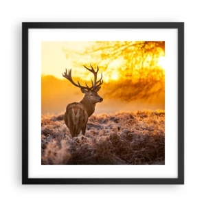 Poster in einem schwarzem Rahmen - König des Herbstwaldes - 40x40 cm