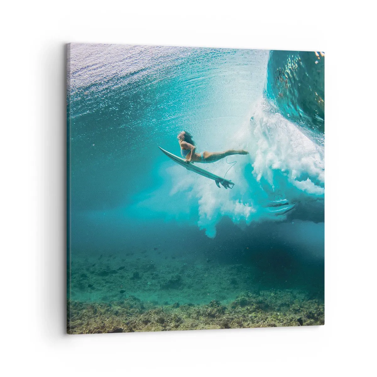 Bild auf Leinwand - Leinwandbild - Unterwasserwelt - 50x50 cm