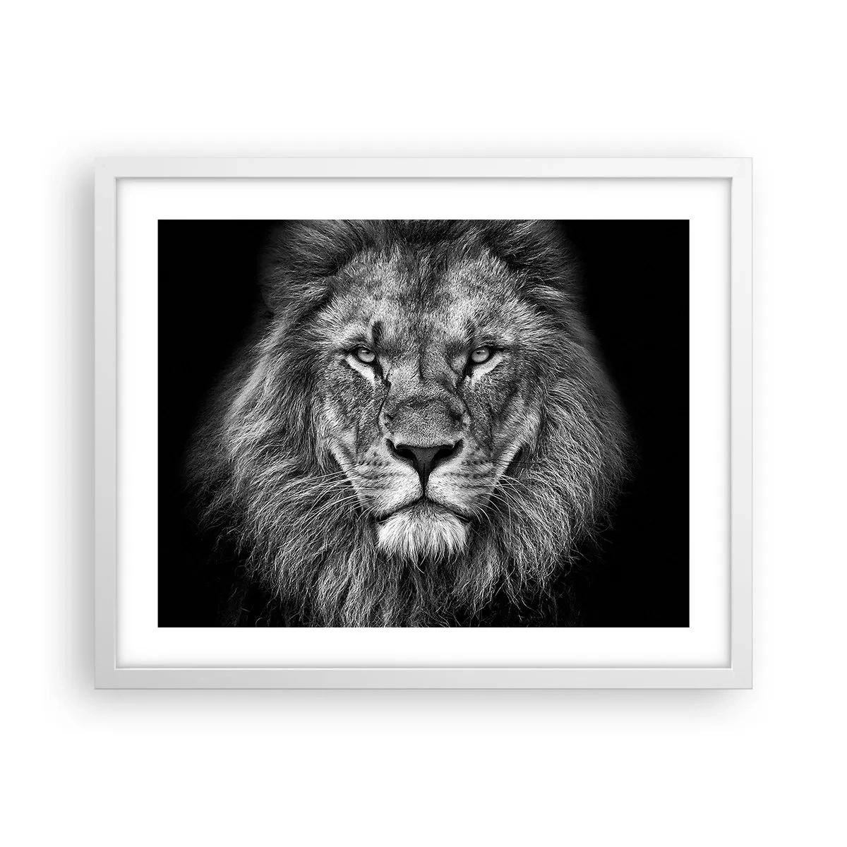 Poster in einem weißen Rahmen - Im Krönungsgewand - 50x40 cm