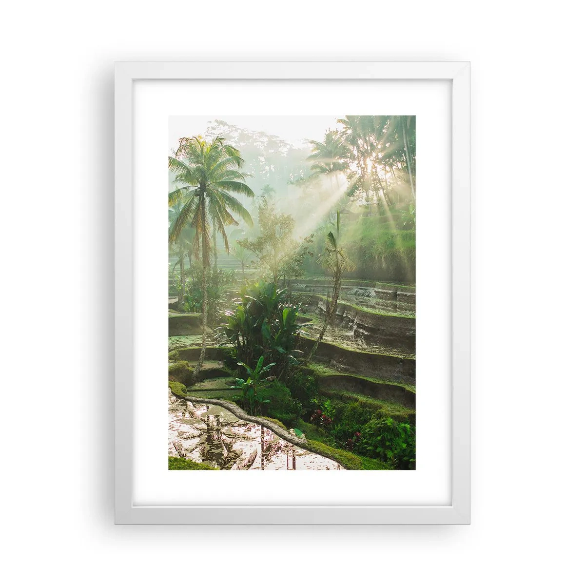 Poster in einem weißen Rahmen - In der Sonne aufwachsen - 30x40 cm