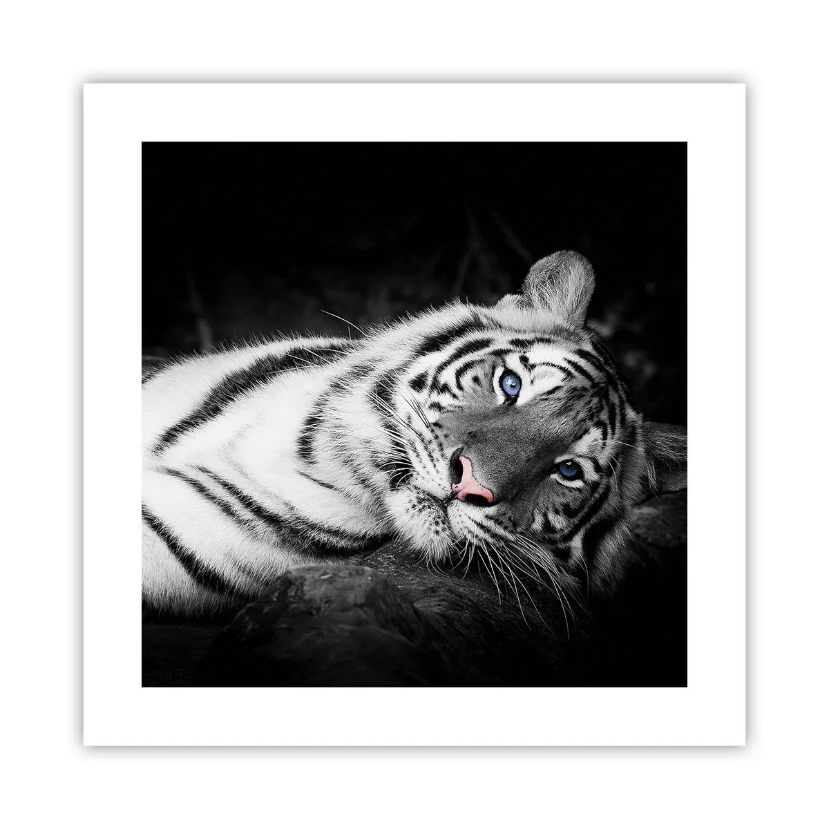 Poster - Wildnis und Frieden - 40x40 cm