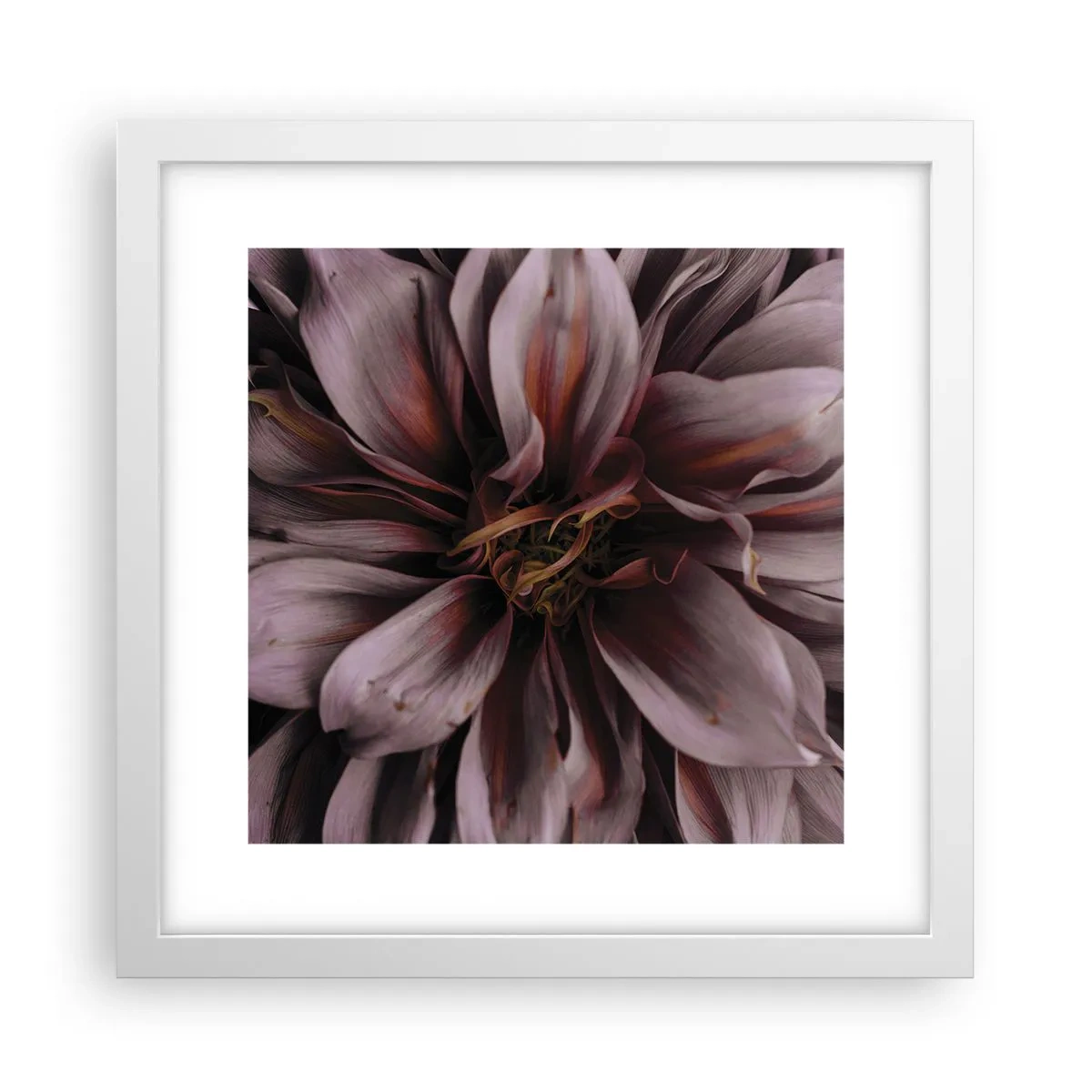 Poster in einem weißen Rahmen - Ein Blumenherz - 30x30 cm