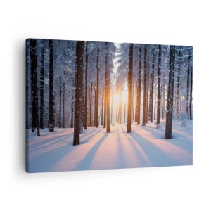 Bild auf Leinwand - Leinwandbild - Winterwald, beleuchtet von den Sonnenstrahlen - 70x50cm - Ganz klar schwarz auf weiß - Moderne Wanddekoration für Wohnzimmer und Schlafzimmer ARTTOR