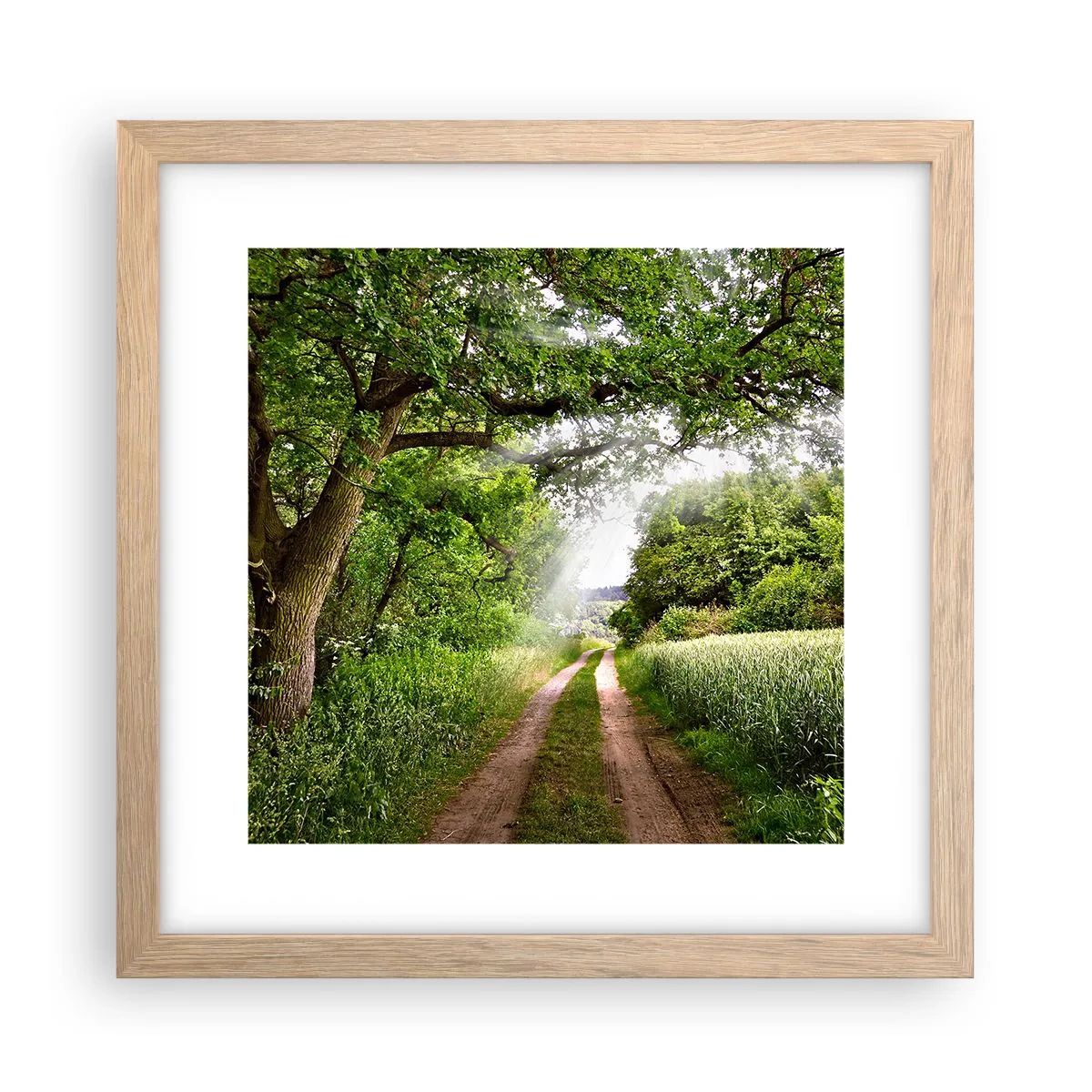 Poster in einem Rahmen aus heller Eiche - Et in Arcadia ego - 30x30 cm