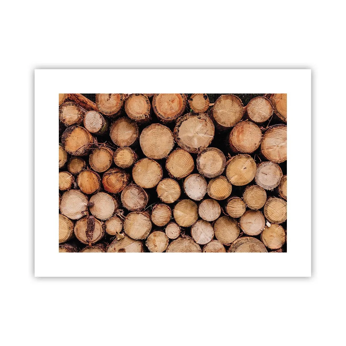 Poster - Ein neuer Anfang - 40x30 cm