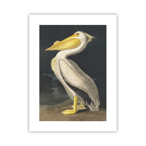 Poster - Voller Stolz - 30x40 cm