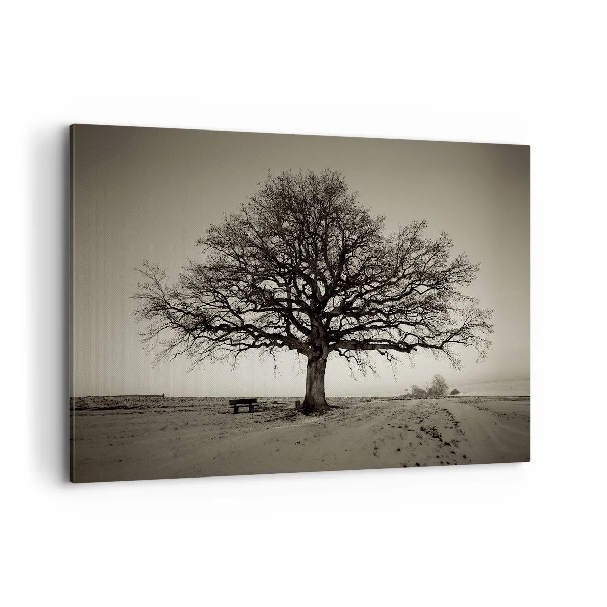 Bild auf Leinwand - Leinwandbild - Ein einsamer Baum in einem Sepia-Feld - 120x80cm - Von hier zu Ewigkeit - Moderne Wanddekoration für Wohnzimmer und Schlafzimmer ARTTOR