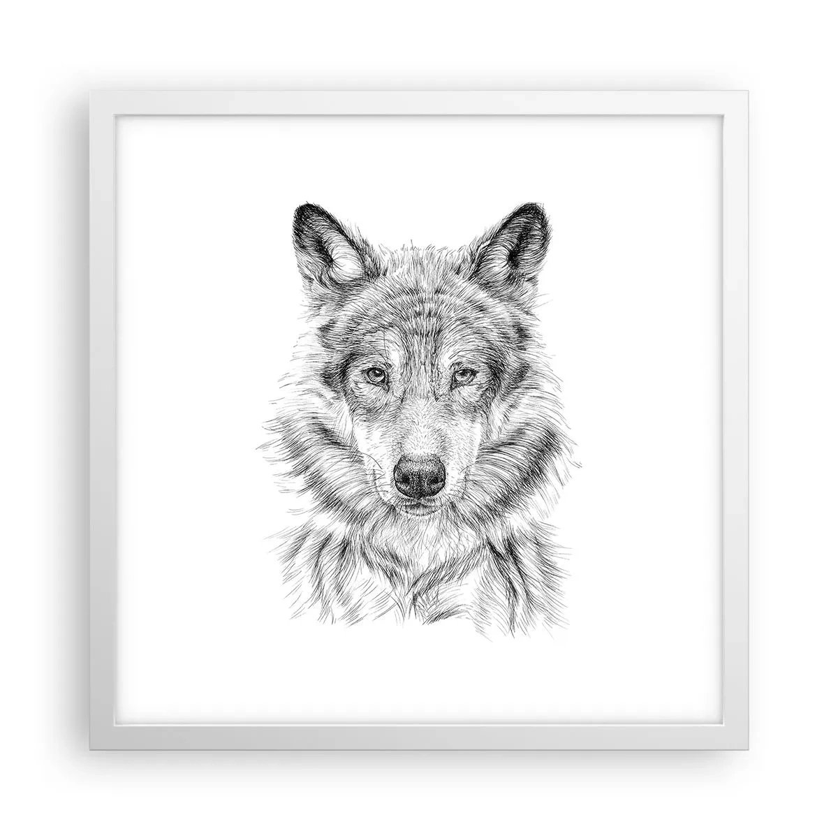 Poster in einem weißen Rahmen - Ein geborener Anführer - 40x40 cm